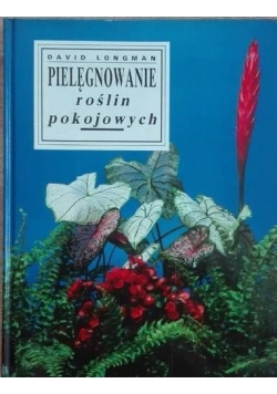Pielęgnowanie roślin pokojowych