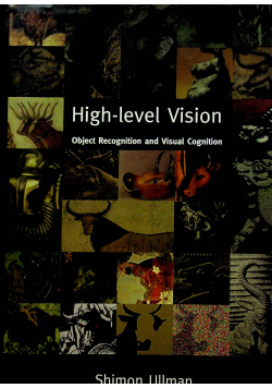 High level vision