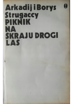 Piknik na skraju drogi las