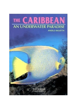 The caribbean