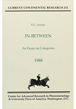 In between An Essay on Categories