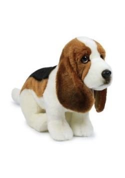 Basset 30cm ACP