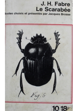 Le Scarabee