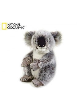 Koala australijski Pacynka