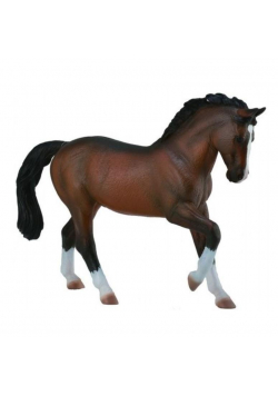 Ogier Warmblood Stallion Bay