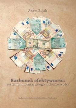 Rachunek efektywności systemu informacyjnego rachunkowości