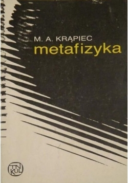 Metafizyka