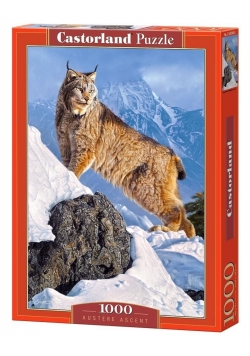 Puzzle 1000 Austere Ascent CASTOR