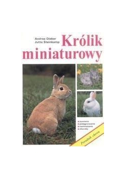 Królik miniaturowy