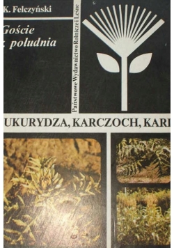 Kukurydza karczoch kard