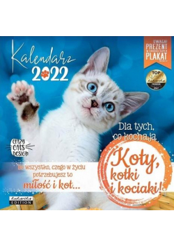 Kalendarz 2022 ścienny Classic Koty