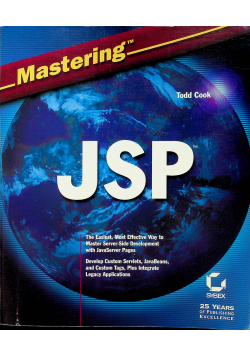 Mastering jsp