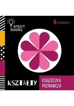 Książeczka poznawcza 6 M+ Kształty