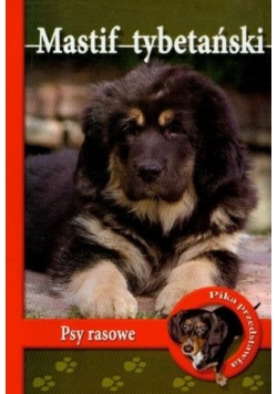 Mastif tybetański Psy Rasowe