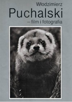 Film i fotografia