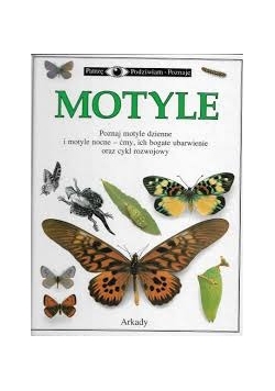 Motyle