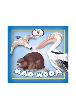 Harmonijka - nad wodą