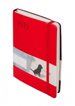 Kalendarz 2019 Minimalizm B6 czerwony