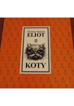 Koty