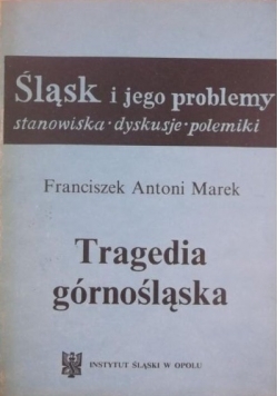 Tragedia Górnośląska, stanowiska, dyskusje, polemiki