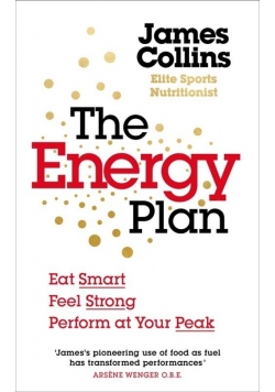 The Energy Plan