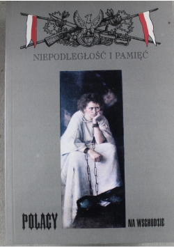 Niepodległość i pamięć rocznik V nr 2