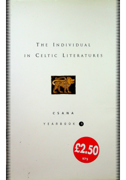 The Individual in Celtic Literatures