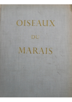 Oiseaux Du Marais