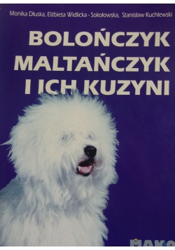 Bolończyk, Maltańczyk i ich kuzyni