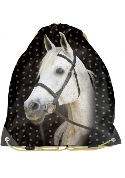 Worek na buty Horse 18-713HS PASO