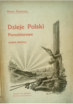 Dzieje Polski Porozbiorowe, 1919 r.