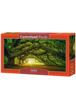 Puzzle 600 Passage CASTOR