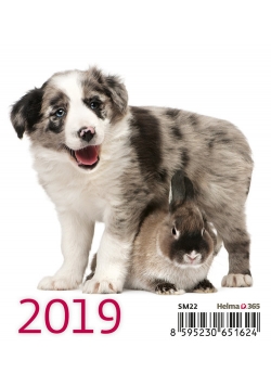 Kalendarz biurkowy Mini Przyjaciele 2019 10 sztuk