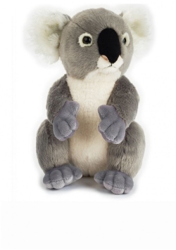 Plusz Basic Koala