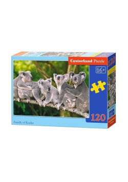Puzzle 120 Rodzina Koali CASTOR