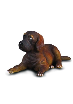 Dog niemiecki szczeniak