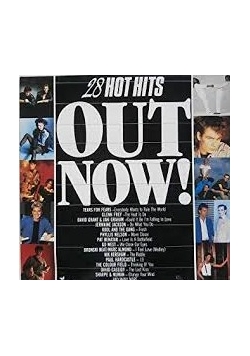 28 HOT HITS OUT NOW! 2 płyty winylowe