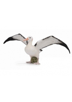 Albatros wędrowny