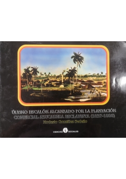 Ultimo Escalon Alcanzado Por La Plantacion