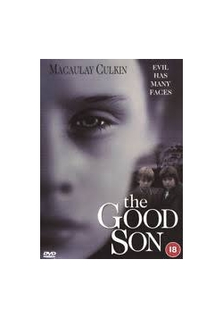 The Good Son płyta DVD