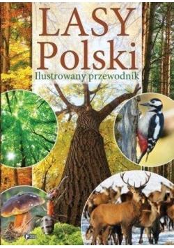 Lasy Polski. Ilustrowany przewodnik