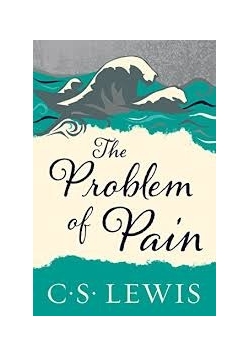 The problem of pain