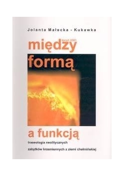 Między formą a funkcją