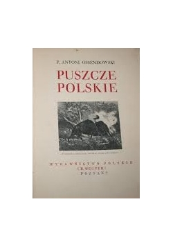 Puszcze Polskie, 1936r.