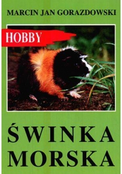 Świnka morska