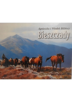 Bieszczady bilińscy