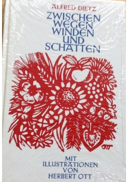 Zwischen wegen winden und schatten