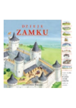 Dzieje zamku