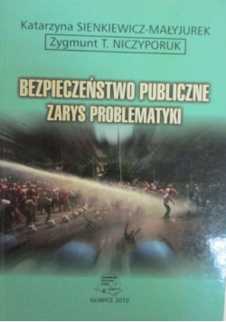 Bezpieczeństwo publiczne. Zarys problematyki