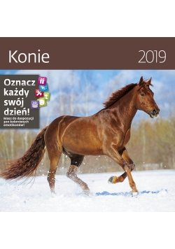 Kalendarz wieloplanszowy Konie 30x30 2019